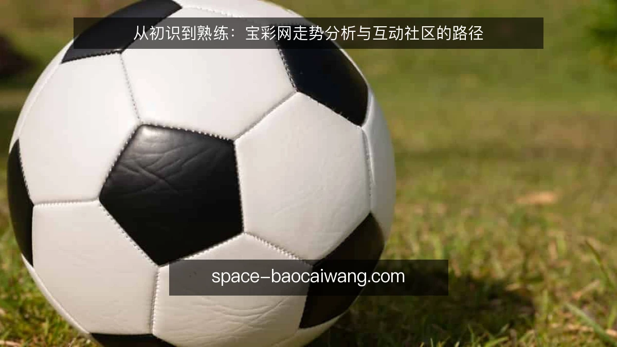 从初识到熟练：宝彩网走势分析与互动社区的路径